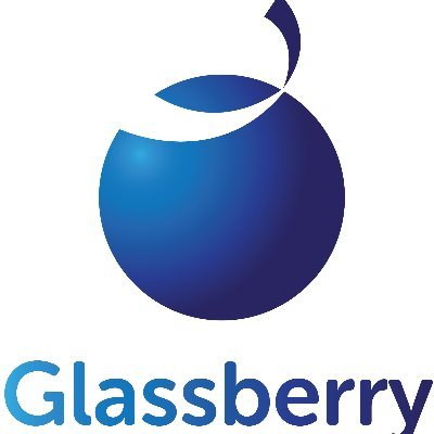 The Glassberry IT Solutions Pvt Ltd