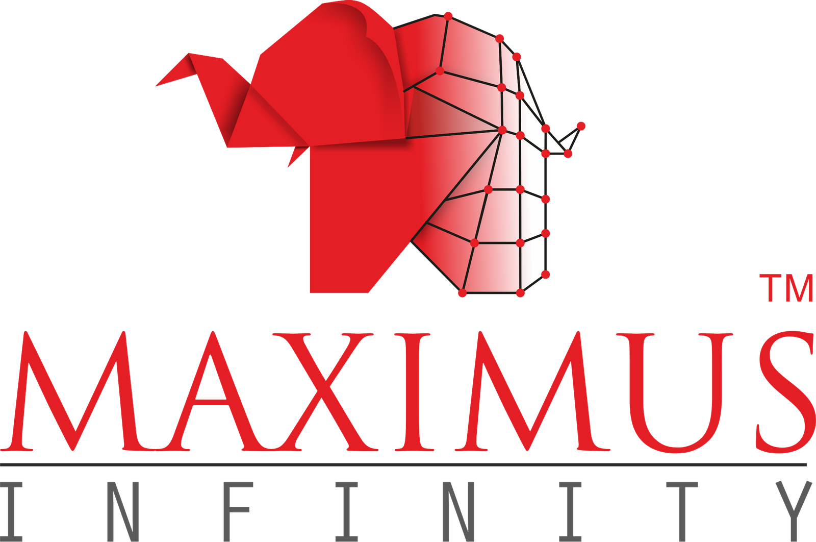 Maximus Infinity